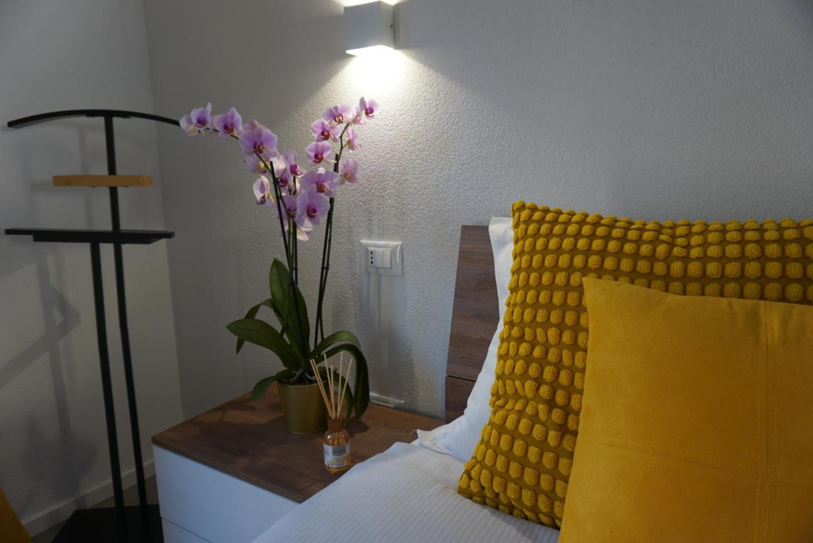 Elisa Apartments B - In Front Of The Walls Of Lucca Eksteriør bilde